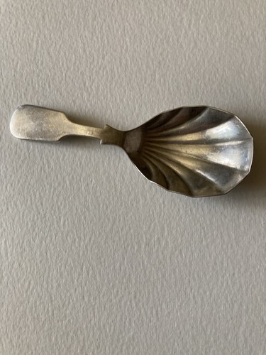 1889 silver tea caddy spoon - tea,
