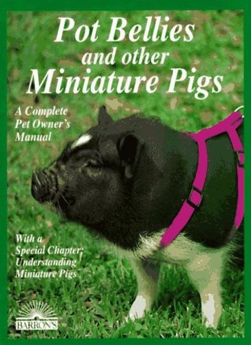 Pot bellies and miniature - pot, pigs