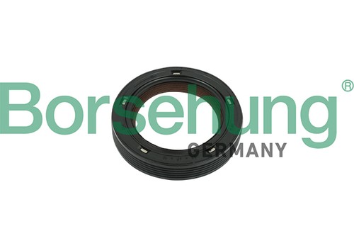 Fits borsehung b18729 - borsehung, camshaft