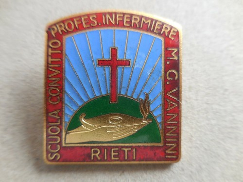 Badge brooch nursing school - brooch,