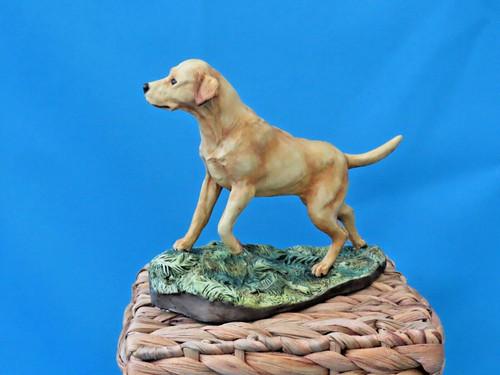 Heredities labrador - heredities,