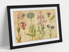 VINTAGE BOTANICAL FLOWER