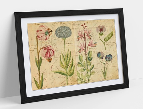 Vintage botanical flower - botanical,