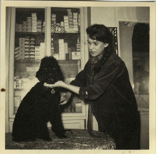 Antique photo vintage - antique,