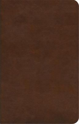 Esv concise study bible - concise,