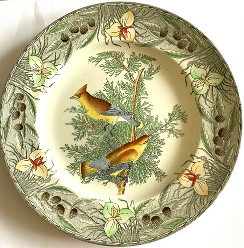 Vintage plate the birds - birds, of