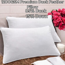 Duck Feather & Down Pillows