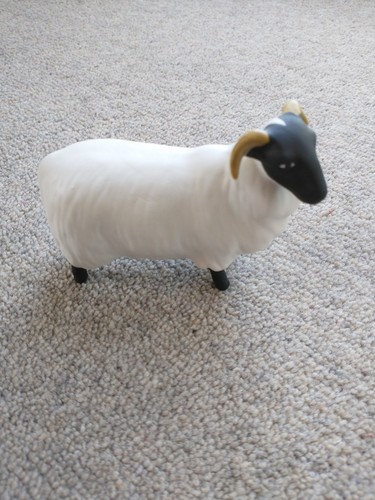 Rare matt beswick - rare,