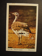 DANDY GUM WILD ANIMALS DANISH