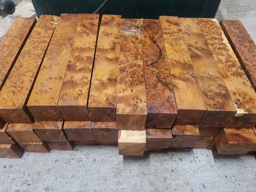 Thuya burr 12 1x - 12",