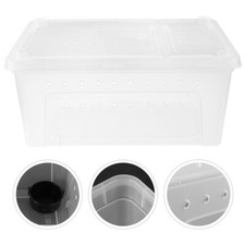  Reptile Box Stick Insect