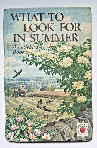 Ladybird book what look - what, to