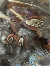 Approx 150 Mixed Pheasant