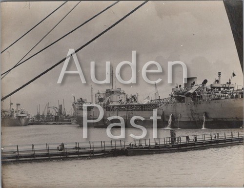 Docked cargo ships and gangway - ships,