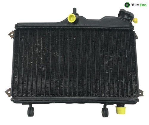 Yamaha tdr 250 - 250, radiator