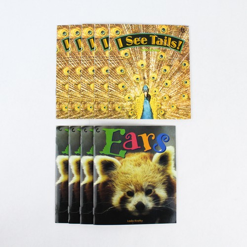 Lot lada kratky - of,