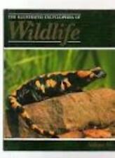 Orbis: The Illustrated