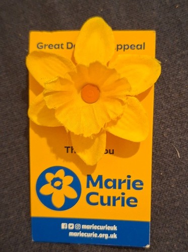 Charity pin badge marie - charity, curie