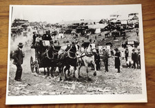 Print of Vintage Early 1900s