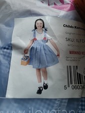 I Love Fancy Dress  Dorothy
