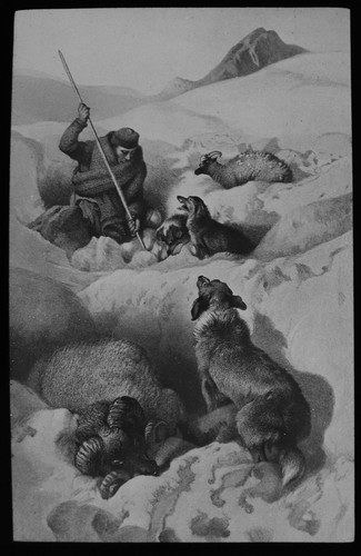 Antique magic lantern slide - antique,