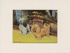 LHASA APSO DOGS OLD 1958 DOG ART PRINT MOUNTED Artist WALTER A WEBER
