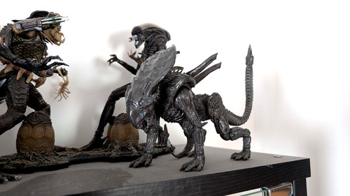 Hiya toys aliens colonial - toys,