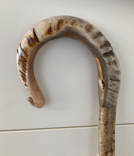 Tall herdwick rams - horn, crook