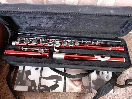 Zest student flute red - ,