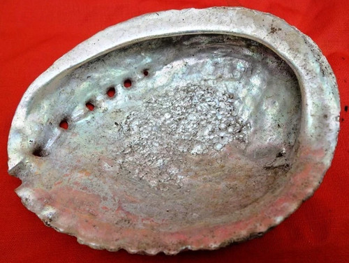 Vintage natural abalone - vintage,