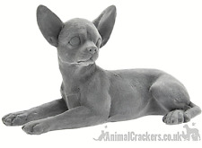 Grey Velvet laying Chihuahua