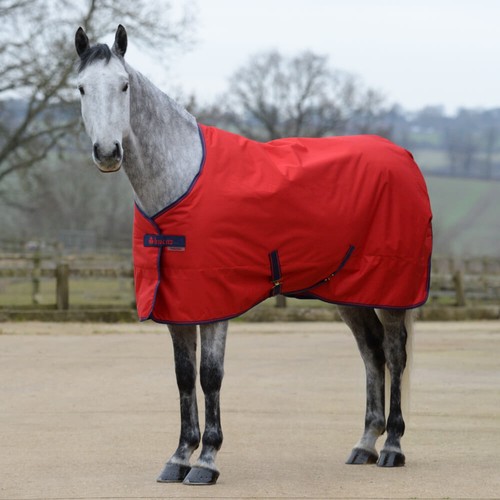 Bucas freedom stable medium - bucas,