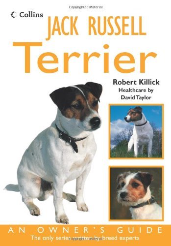 Jack russell terrier an - terrier:,