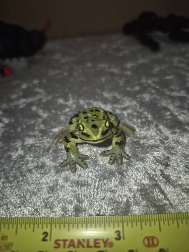 Green frog toy - green,