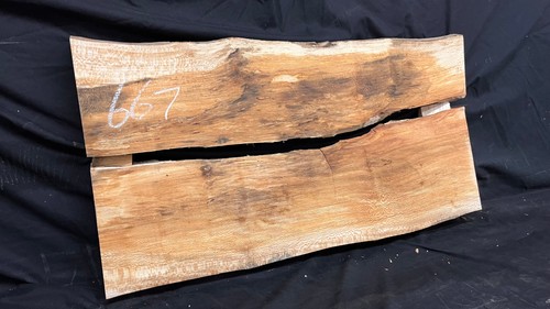 London plane natural split - plane,