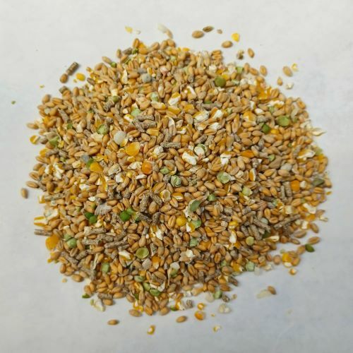 Chicken food garden blend - chicken,