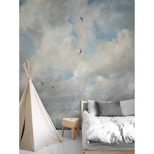 Cloudy sky removable peel - cloudy,