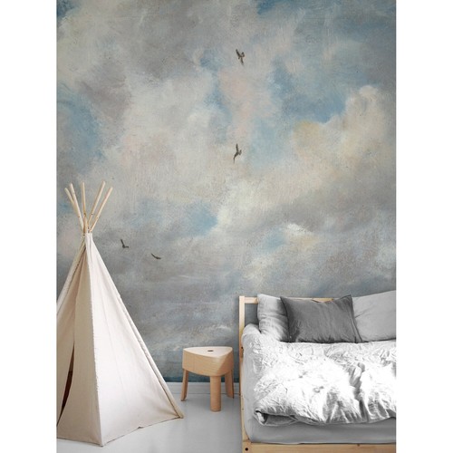 Cloudy sky removable - sky, and