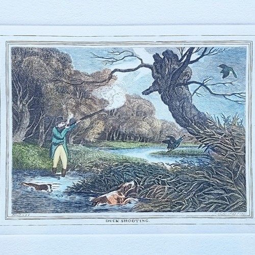 Three fowling prints - fowling,