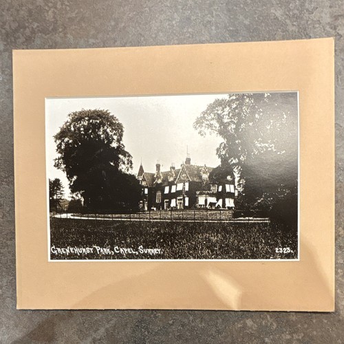 Dorking grenehurst park - -,
