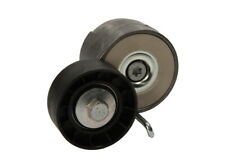 Fits DAYCO DAYAPV1078