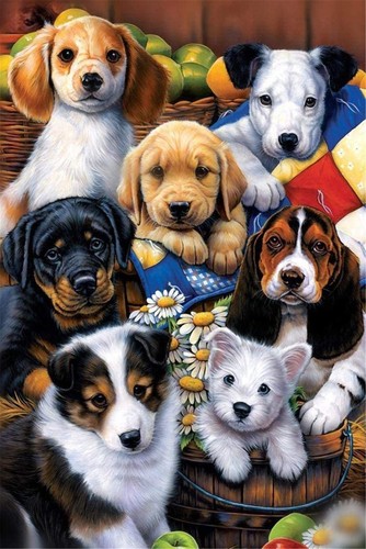 Cross stitch kits - cross, stamped