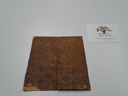 Burr brown oak veneer - oak, (micro