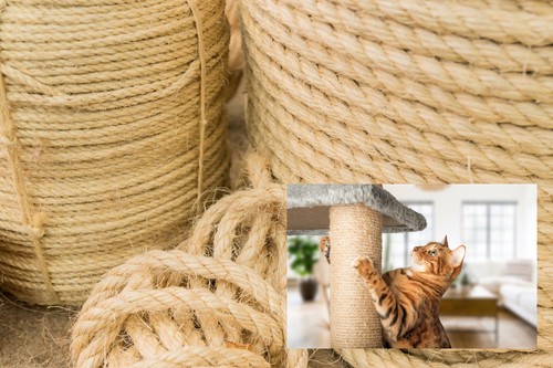 Cat scratching replacement - scratching,