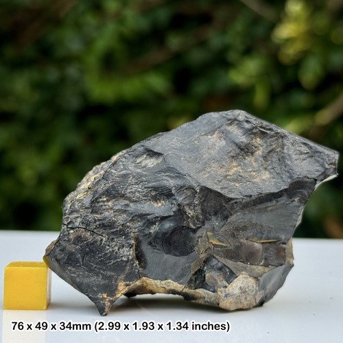 Whitby jet 54g genuine - whitby,