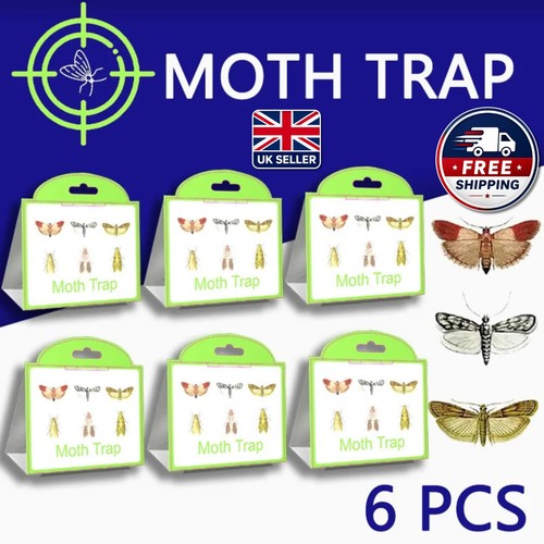 Pheromone moth traps - 6x,