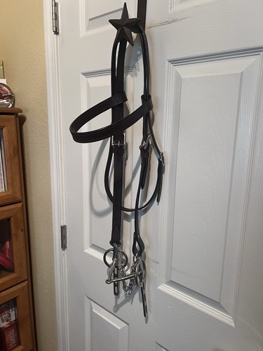 Draft equestrian riding - draft,