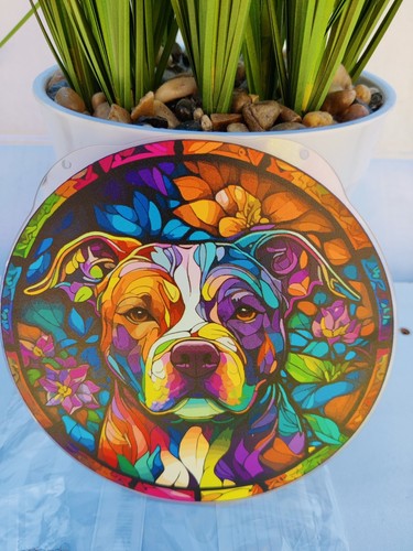 Bull terrier acrylic - bull,