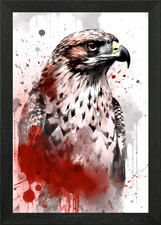 Red Tailed Hawk Framed Wall