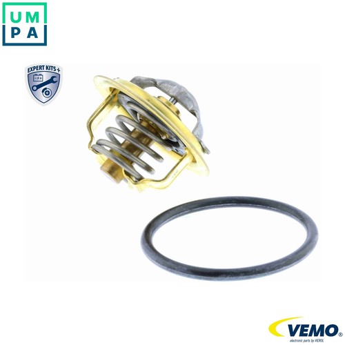 Washer fluid pump window - fluid,